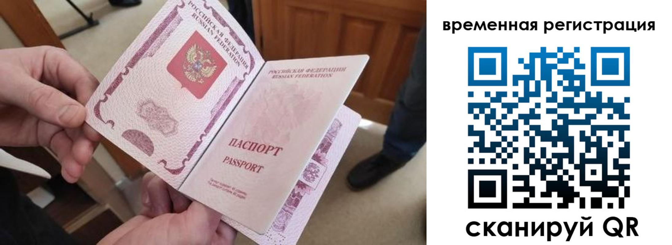 временная регистрация поиск в Волгоградской области