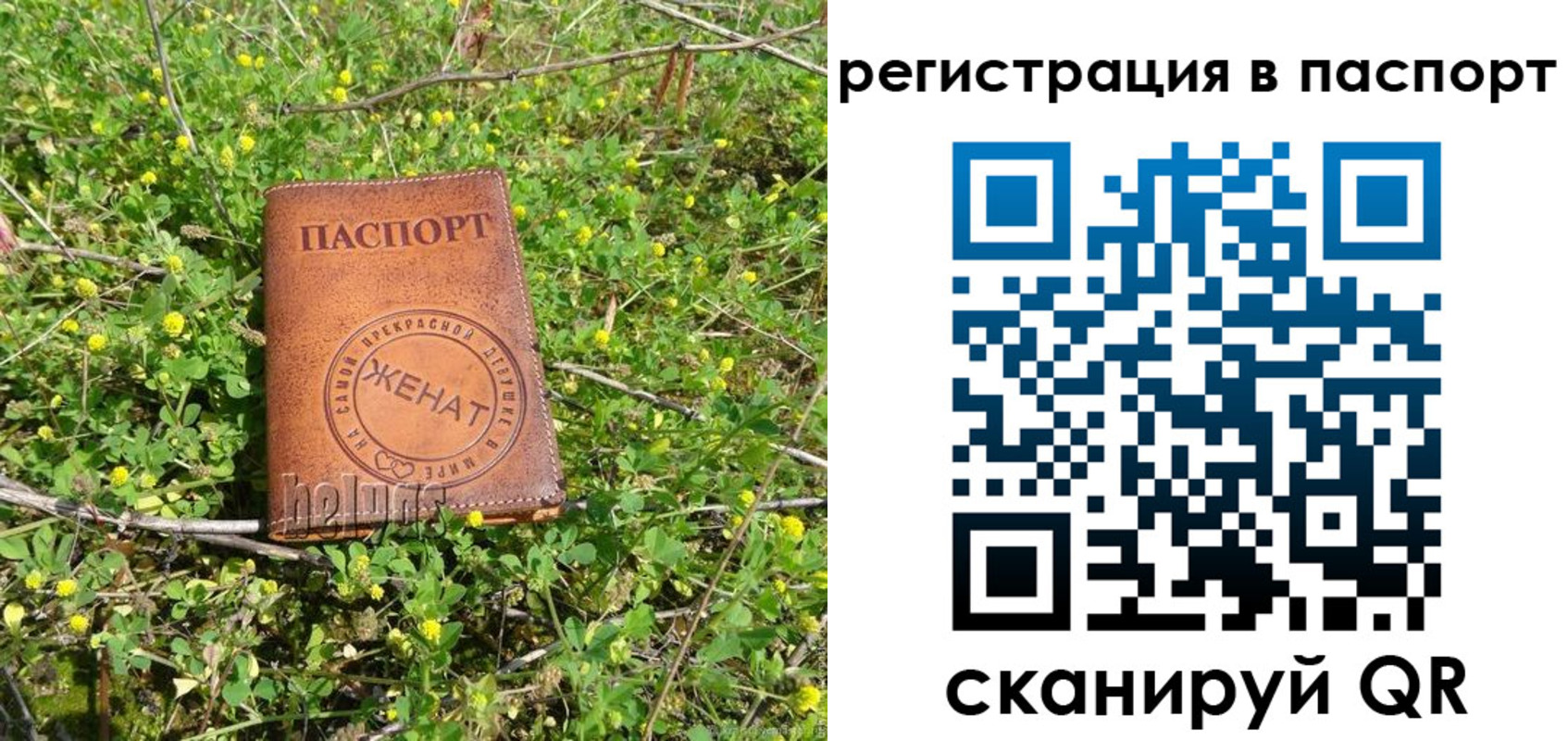 прописка законно в Волгоградской области